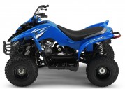 Yamaha YFM50 Yamaha YFM50